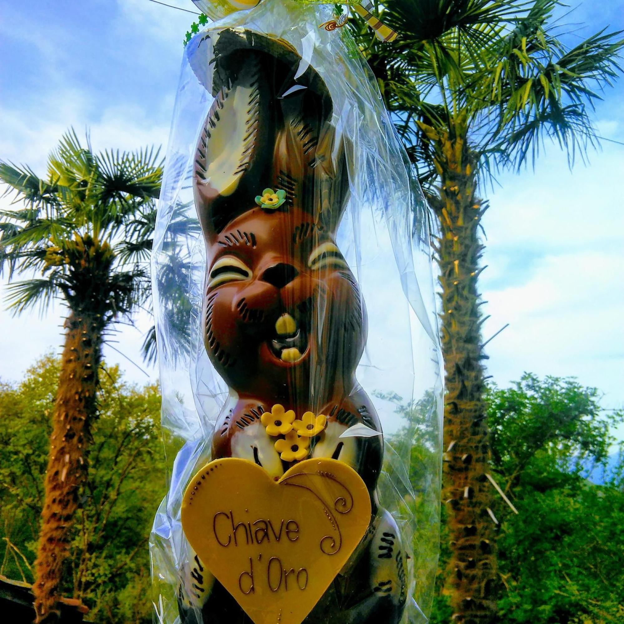 Chiave D'Oro Hotel Sessa Luaran gambar